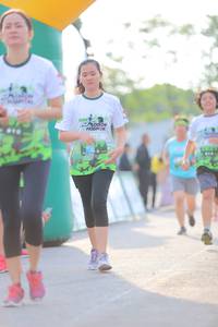 BIB: 
                            <button type="button" onclick="openModal(3652117)" class="btn btn-primary btn-sm float-right btn-popup" data-toggle="modal" data-target=".modal-high-quality">
                        <i class="fas fa-shopping-cart"></i> Add to Cart
                    </button>
                                            <button type="button" onclick="isThisMe(3652117, true)" class="btn btn-success btn-sm float-right btn-popup btn-isme hidden" data-toggle="tooltip" data-placement="bottom" title="นี่คือรูปของคุณใช่ไหม คลิกที่นี่เพื่อเอาเข้าอัลบั้ม">
                        <i class="fas fa-plus"></i> Add to album
                    </button>
                    <button type="button" onclick="isThisMe(3652117, false)" class="btn btn-warning btn-sm float-right btn-popup btn-isnotme hidden">
                        <i class="fas fa-ban"></i> Remove from album
                    </button>